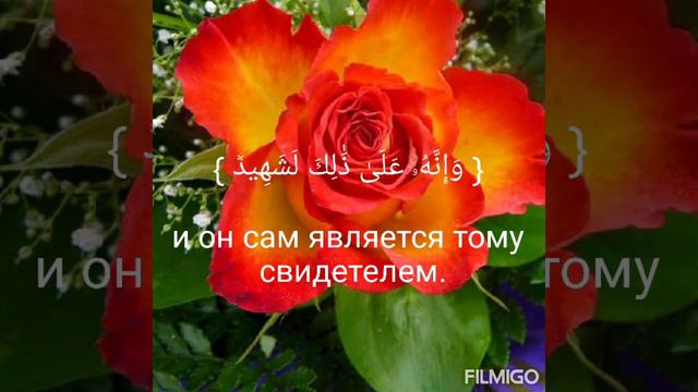 Сура 100 чец мансур Ас салими красивое чтение Корана смотреть онлайн