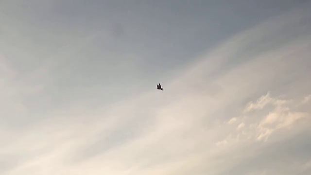 СК. Где? В Караганде. жучёк посадка. смотреть онлайн