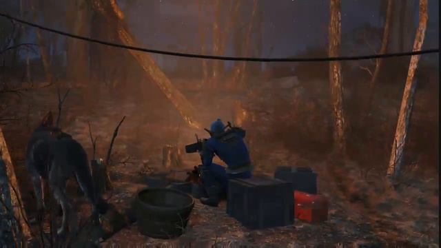 Fallout 4 Campfire Confessional (medical)