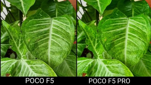 POCO F5 VS POCO F5 PRO Camera Test Comparison |POCO VS POCO