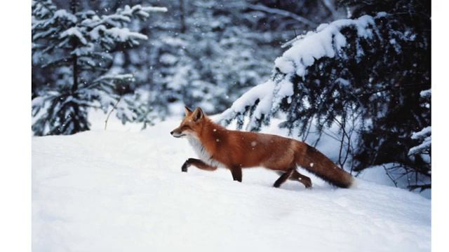 Психологические особенности невротической личности смотреть онлайн