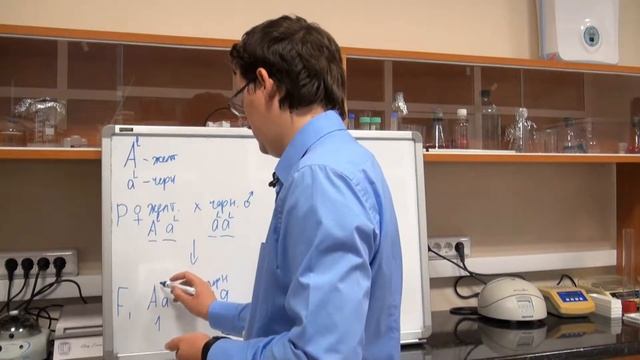 Летальные аллели. Разбор задачи №5.2 смотреть онлайн
