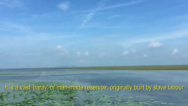 Sarus Crane Reserve - Ang Trapaeng Thmor - Guide Training - Angkor Scenery смотреть онлайн