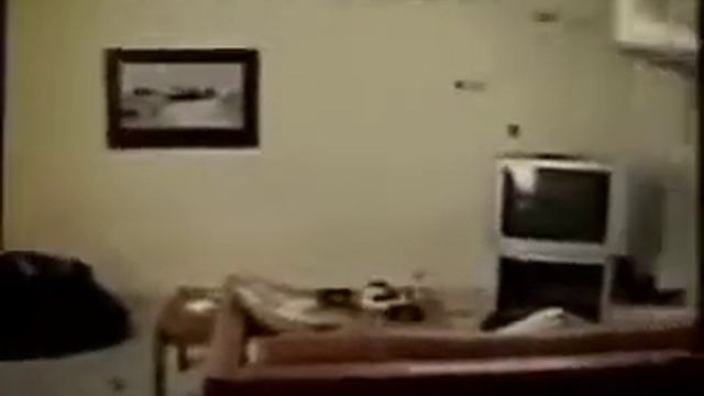 Pablo meme (with cat) смотреть онлайн