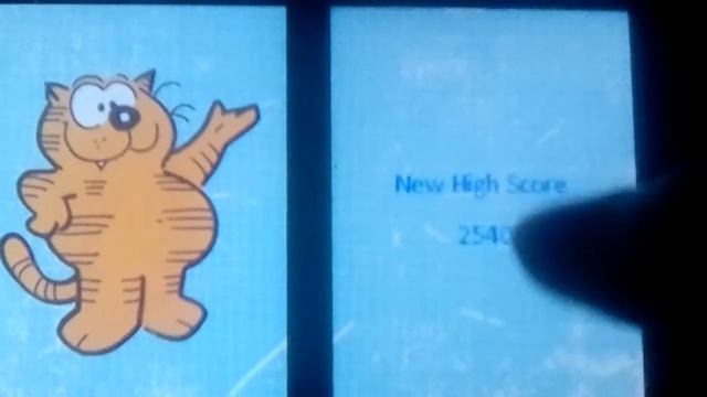 Gameplay #117: HeathCliff Spot On (Nintendo DS) смотреть онлайн