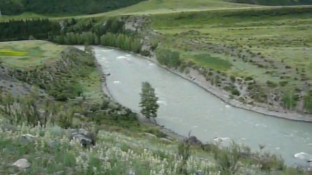 Реки Горного Алтая 1 смотреть онлайн