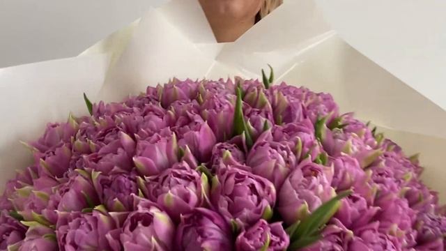 Букет из 101 тюльпана Фонтанеллато смотреть онлайн