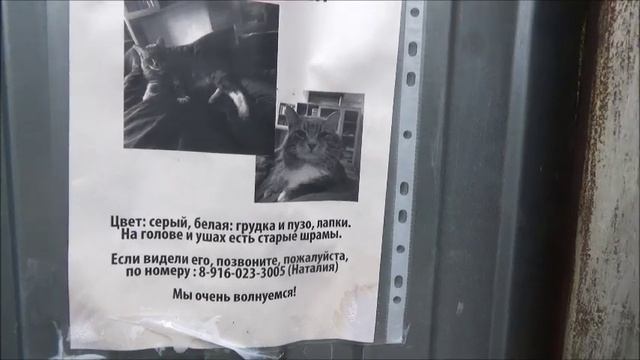 Дача. Завтрак. Салфетки из ИКЕА. НР - Дача Аллы Новоселовой. смотреть онлайн