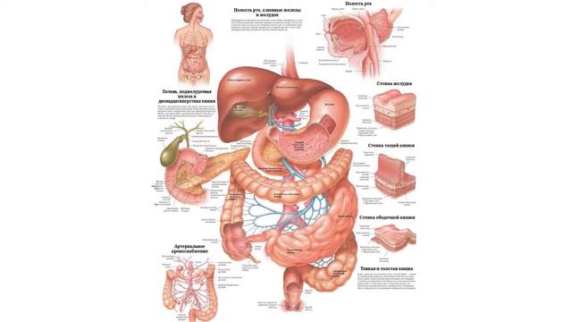 Секреты ферментированного сока чистотела - Fermented Celandine Juice Secrets