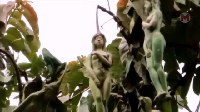 Скоро Людей Будут Хоронить Так! 50 Фактов, которые Повергнут Вас в Шок смотреть онлайн