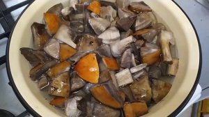 Что делать с червивыми грибами? Жареные подосиновики и сыроежки