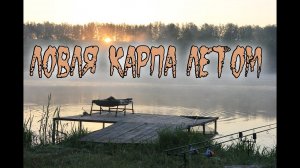 ЛОВЛЯ КАРПА ЛЕТОМ. НА ЧТО ЛОВИТЬ КАРПА В ИЮЛЕ, В ЖАРУ. Где искать?