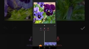 Как сделать ролик из фото с музыкой в приложении Inshot