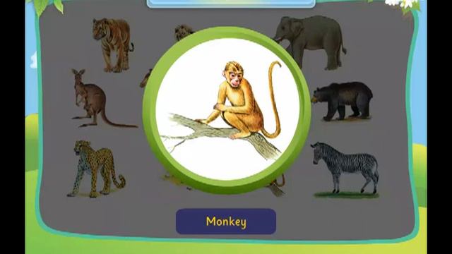 wild animals Junior KG books| learn via easy |wild animals in english смотреть онлайн