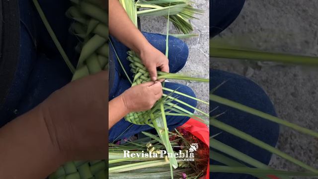 Cómo hacer Palma para Domingo de Ramos смотреть онлайн