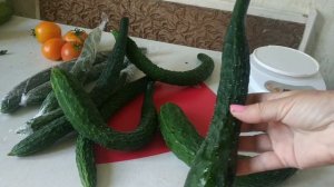 Секреты выращивания китайских огурцов