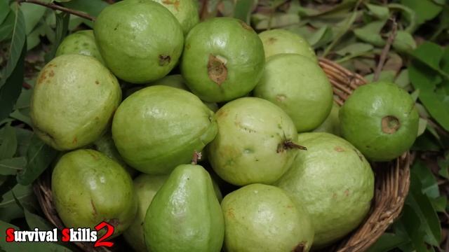 Survival Skills - Eating guava fruits with spicy salt peppers смотреть онлайн