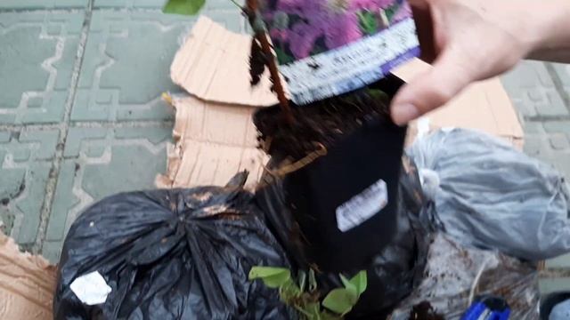 Распаковка посылки от Совместных Покупок. СП Дача ФРИГО Доставка СДЕК смотреть онлайн