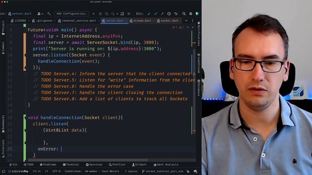 Realtime Applications with Sockets - Introduction in Sockets with Dart смотреть онлайн
