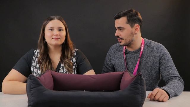 Что НУЖНО Для Щенка ? ПОЯВЛЕНИЕ собаки В ДОМЕ ? УХОД за Щенком | Первые ТОВАРЫ для Собак смотреть онлайн