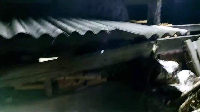 Почти заселил Жулика в новостройку! Сушу грибы, готовлюсь к зиме, варю суп для куриц... Тихая жизнь смотреть онлайн