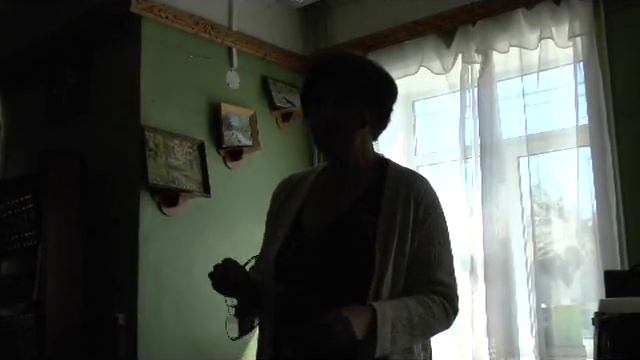 Видеоприложение к исследовательской работе "Г.И.Невельской: человек, адмирал, гражданин" смотреть онлайн