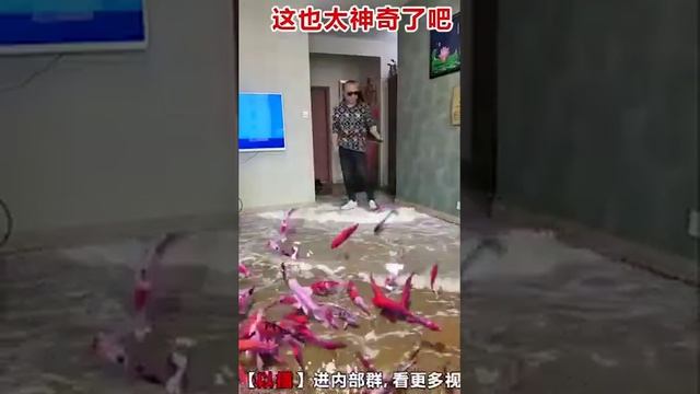 Пол в Китае ? смотреть онлайн