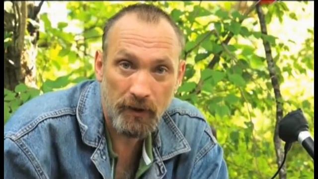 Биология типографа