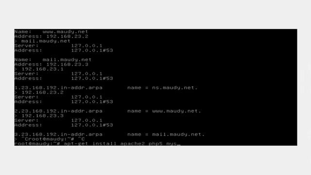 Cara Install Debian, DNS Server, Web Server, Mail Server di virtualbox смотреть онлайн