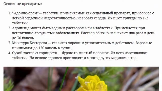 Адонис весенний описание и фото Применение Выращивание из семян смотреть онлайн