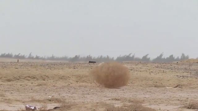 15 дней ничего не происходит смотреть онлайн