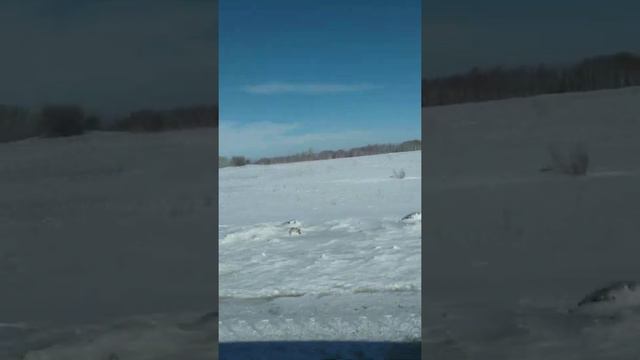 Поездка в город Камень на Оби. смотреть онлайн
