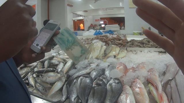 Рыбный рынок Аджман - покупаем рыбу смотреть онлайн