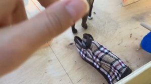 Обзор на конюшню/ лошади Шляйх лошади Schleich