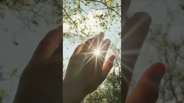 Стих "Почему Господь Ты забираешь". смотреть онлайн