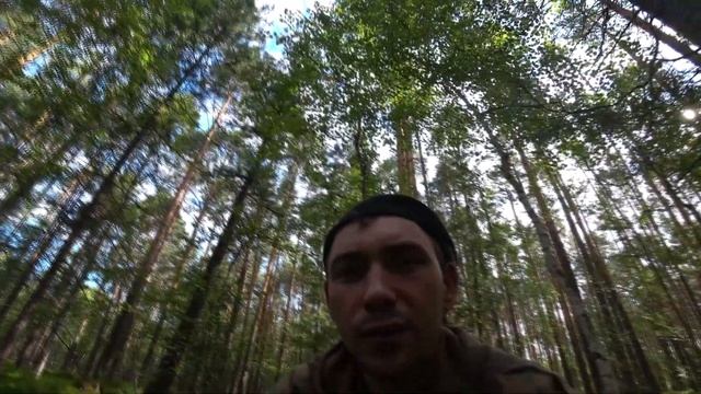 ЧЕРНИКА УЖЕ НЕ ТА ПОСЛЕДНИЕ ДНИ СБОРА ЧЕРНИКИ смотреть онлайн