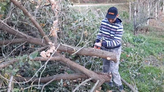 RECENSIONE STIHL MS 170 смотреть онлайн
