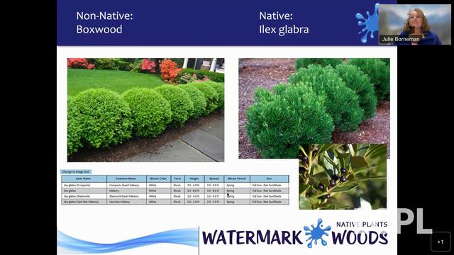 Plant This, Not That смотреть онлайн