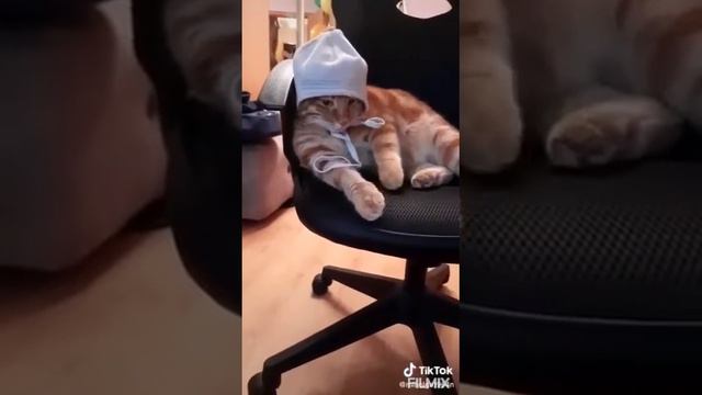 Когда отменили школу на 92 дня🤣🤣🤣🤣🤣 смотреть онлайн