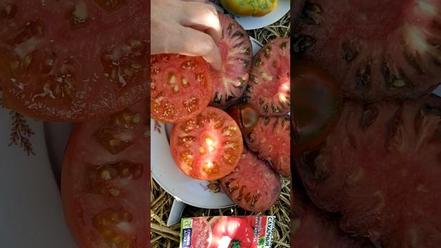 созрели амурский тигр, полосатый шоколад,братик полосатик, малахитовая шкатулка и т.д. ?ням-ням. смотреть онлайн