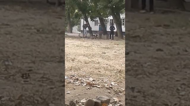 Драка 5 клашек 2 часть смотреть онлайн