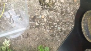 Замена катушки бензотриммера