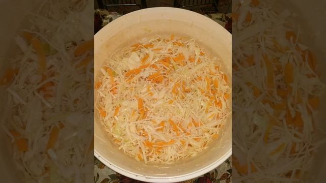 БЕССОЛЕВАЯ КВАШЕНАЯ КАПУСТА смотреть онлайн