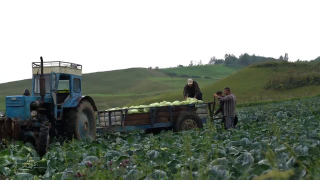 Kend Heyati Жизнь в деревне Bite-Sized Village Treat_ Easy Mini Apple Pies