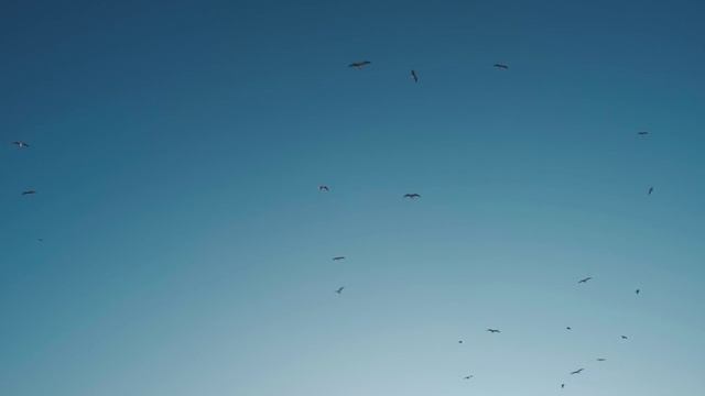 «Черно - белая любовь» - 1 сезон - 14-15 серия - турецкий сериал - описание серии смотреть онлайн