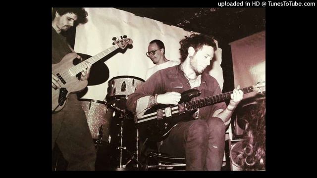 Godspeed You! Black Emperor - New Song #1 “Flowers” (2024-02-24) смотреть онлайн