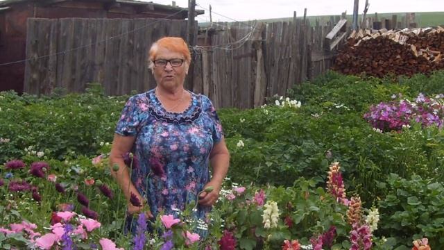 Мой дом смотреть онлайн