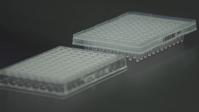 Learn How to Choose a PCR Plate смотреть онлайн