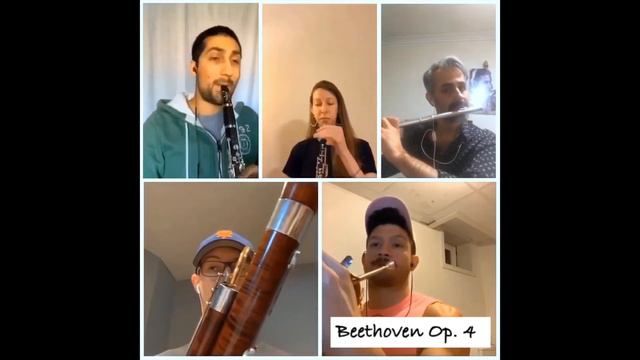 Woodwind Quintet in Eb Major, Op. 4 by Beethoven смотреть онлайн