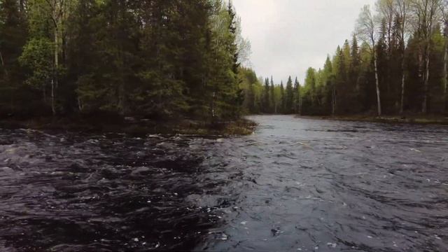 Летняя Золотица зима и лето 2022